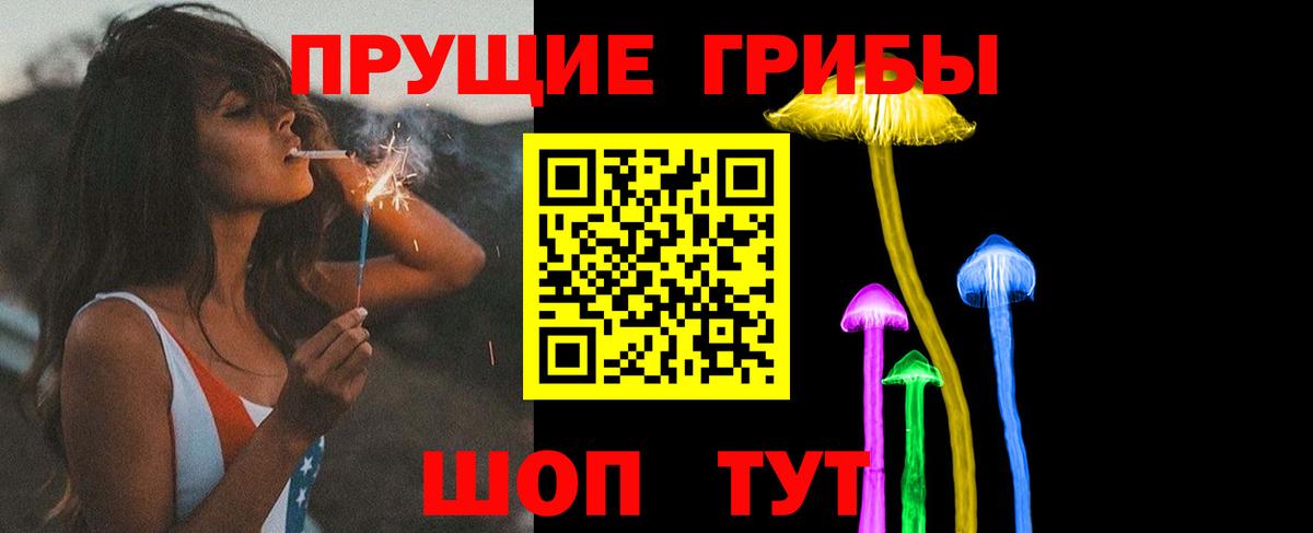 Галлюциногенные грибы Psilocybine cubensis  Вход с VPN  Томск 